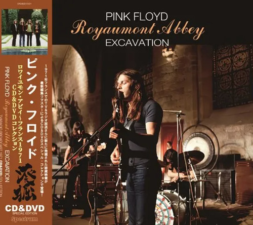 Pink floyd excavation - pink,